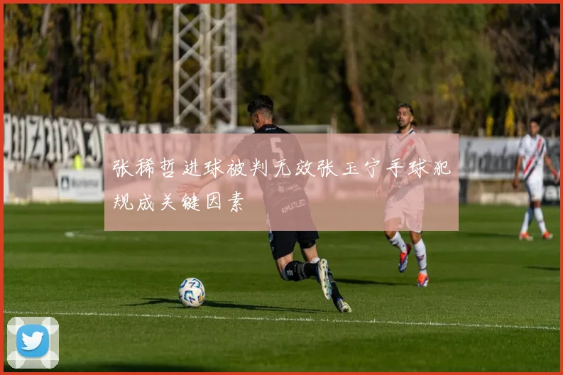 张稀哲进球被判无效张玉宁手球犯规成关键因素