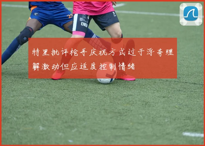 特里批评枪手庆祝方式过于浮夸理解激动但应适度控制情绪
